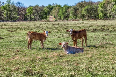 Tiny photo for 1580 County Road 377, Caldwell, TX 77836 (MLS # 26003885)