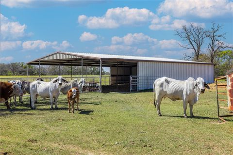 Tiny photo for 1580 County Road 377, Caldwell, TX 77836 (MLS # 26003885)