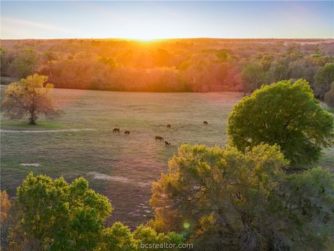 Photo of 1580 County Road 377, Caldwell, TX 77836 (MLS # 26003885)