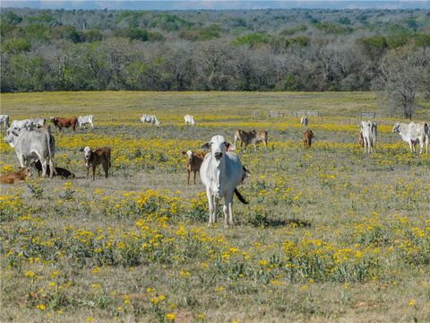 Tiny photo for 1580 County Road 377, Caldwell, TX 77836 (MLS # 26003885)