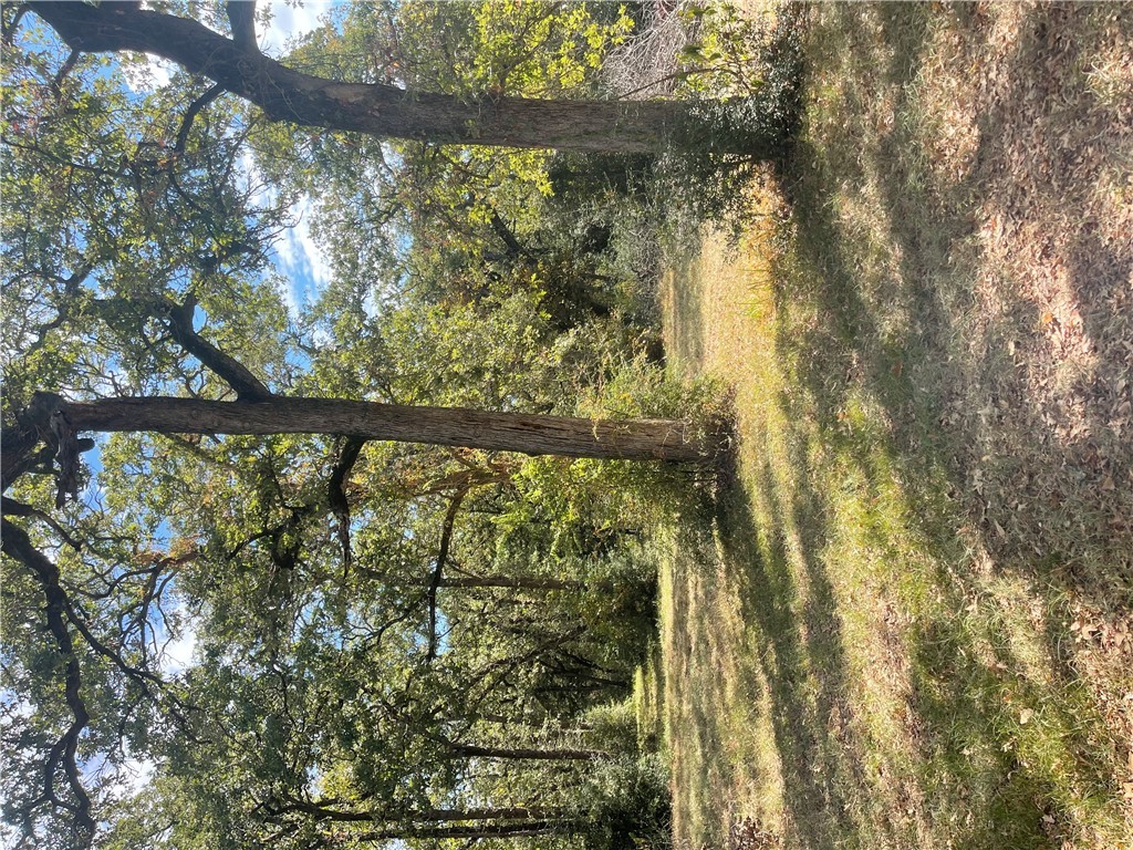 Hearne, Texas 77859, United States, ,Land,Active,225762