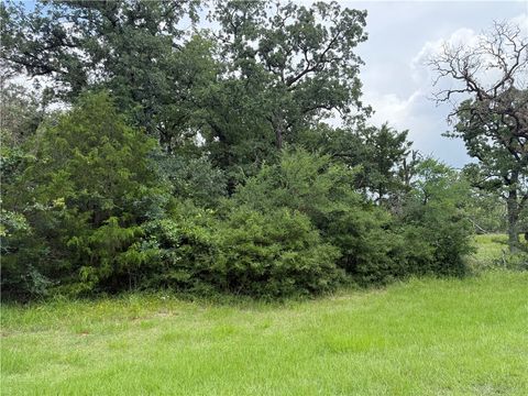 0 Lakewood Dr lots 96&97 Marquez TX 77865