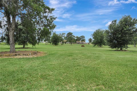 Tiny photo for 849 COUNTY ROAD 331A Road, Milano, TX 76556 (MLS # 26008615)