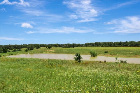 Tiny photo for 849 COUNTY ROAD 331A Road, Milano, TX 76556 (MLS # 26008615)