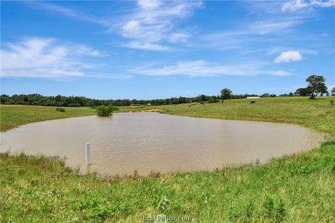 Tiny photo for 849 COUNTY ROAD 331A Road, Milano, TX 76556 (MLS # 26008615)