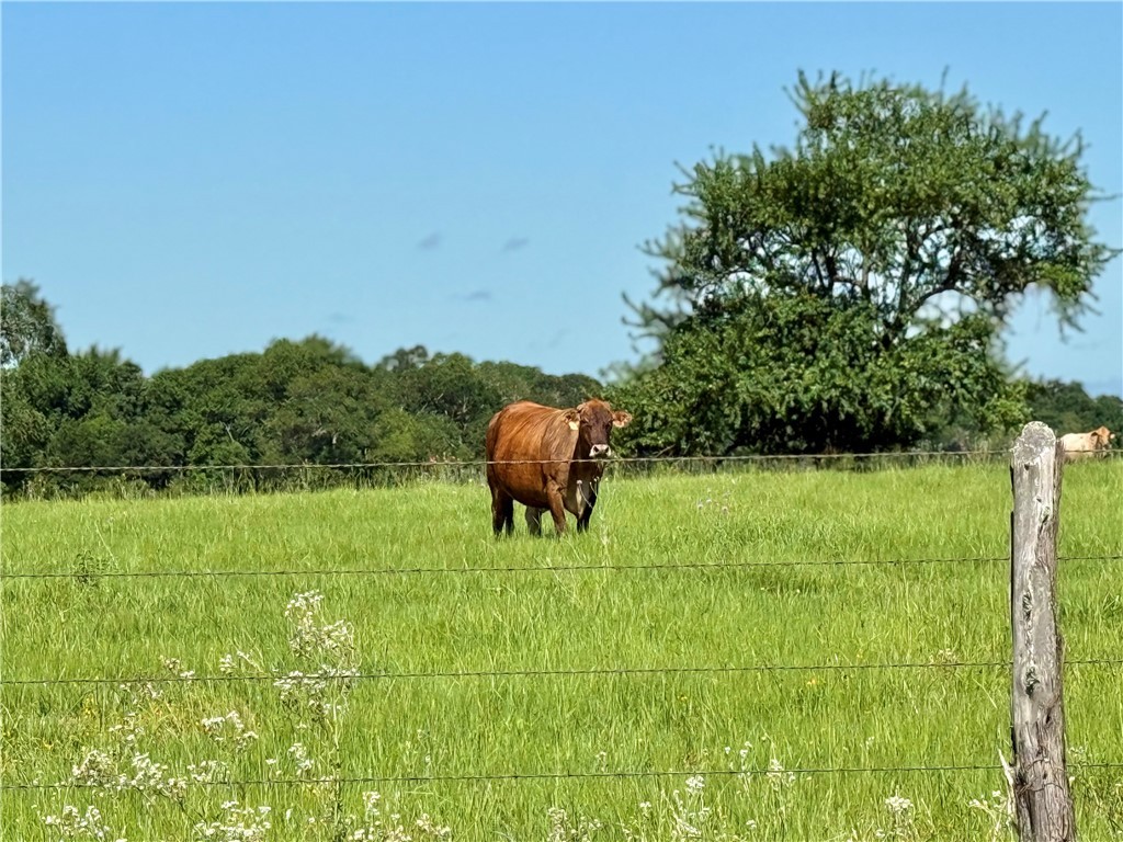 6422 Garhole View Lane