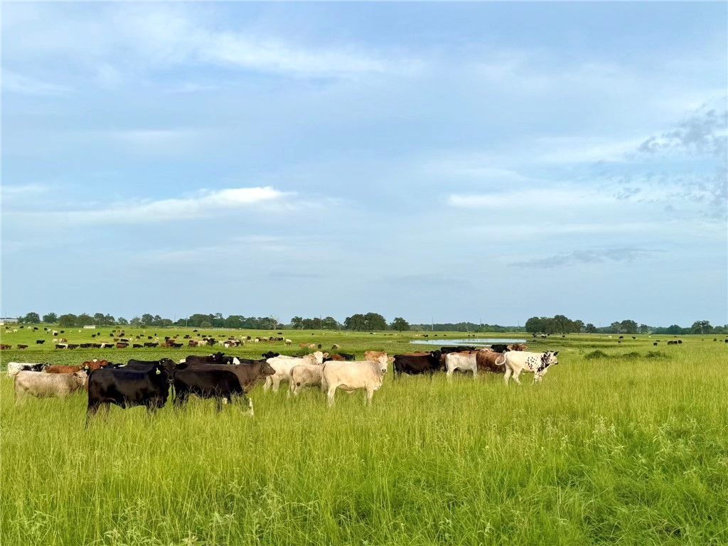 6422 Garhole View Lane