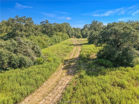 Tiny photo for 8688 Treebrook Lane, Bryan, TX 77808 (MLS # 26010417)