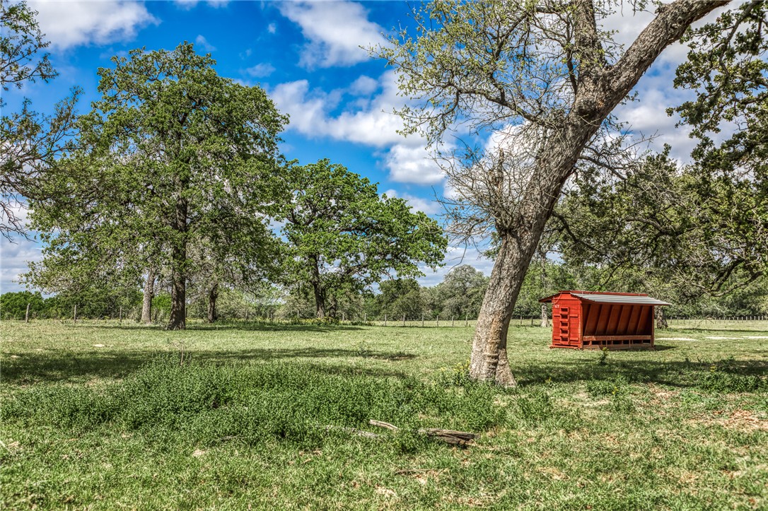 11320 County Road 343