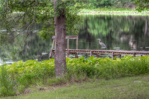 Tiny photo for 14673 County Road 445, Marquez, TX 77865 (MLS # 26006957)