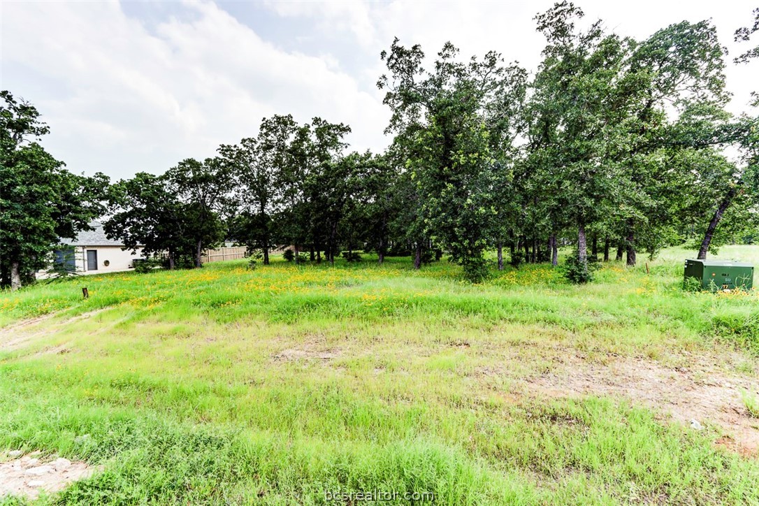 College Station, Texas 77845, United States, ,Land,Pending,56167