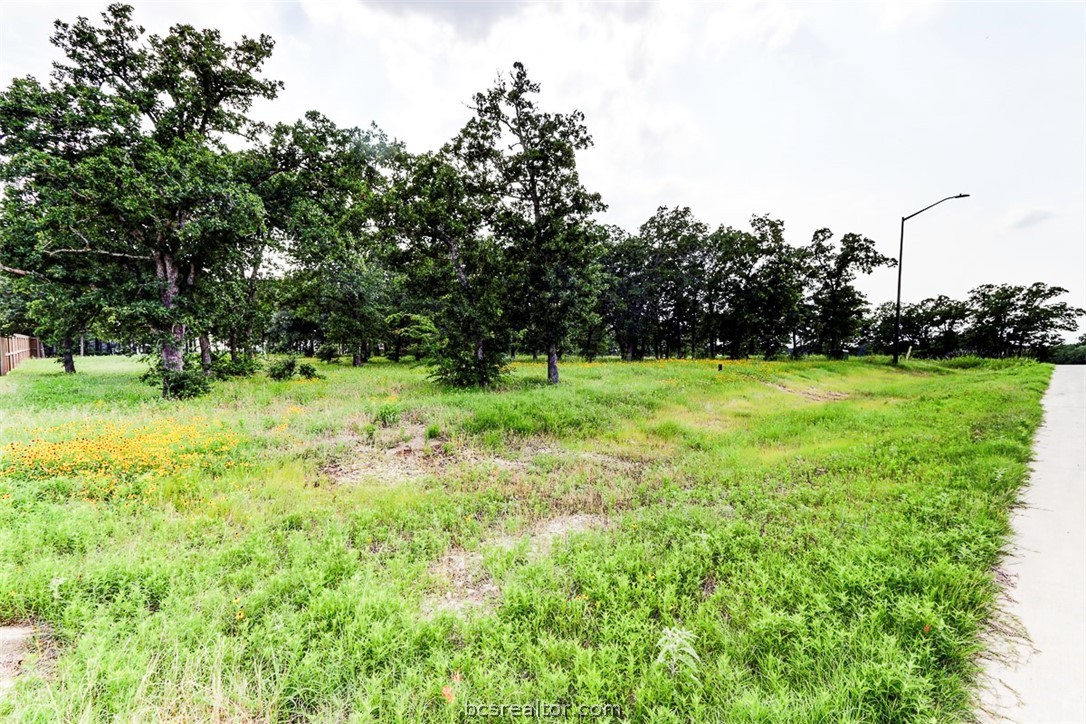 College Station, Texas 77845, United States, ,Land,Pending,56167