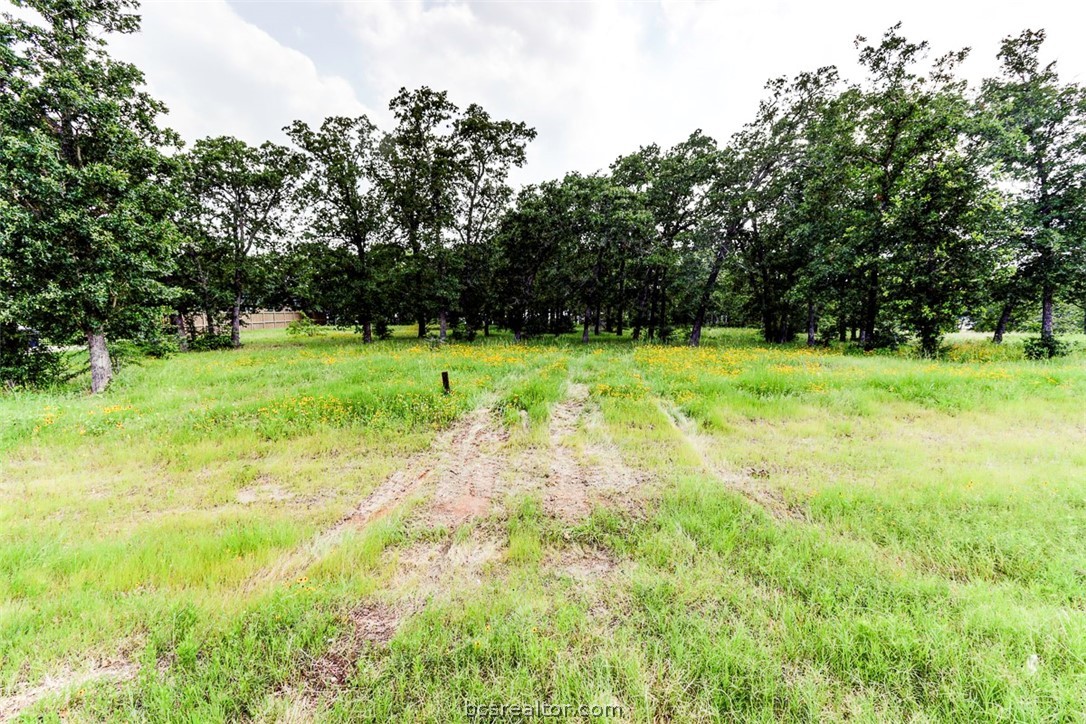 College Station, Texas 77845, United States, ,Land,Pending,56167