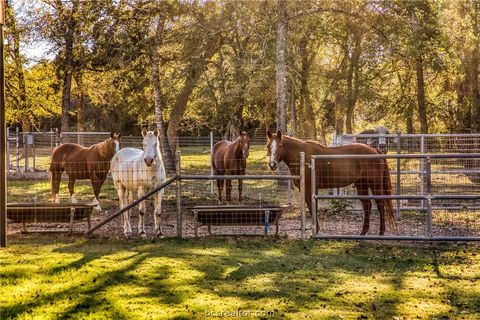 Tiny photo for 39761 Mesquite, Hempstead, TX 77445 (MLS # 26001780)