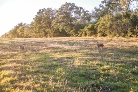 Tiny photo for 39761 Mesquite, Hempstead, TX 77445 (MLS # 26001780)