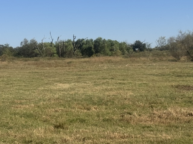 TBD Old Bundick Road