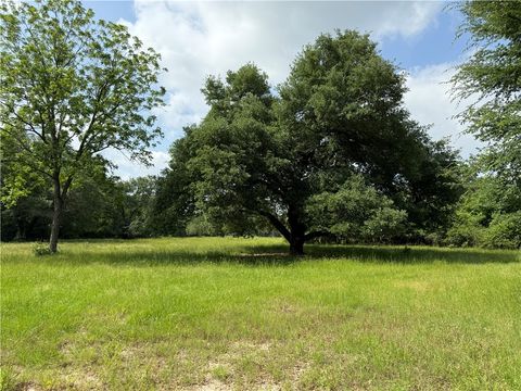 Tiny photo for 601 E Collard Street, Madisonville, TX 77864 (MLS # 26001720)