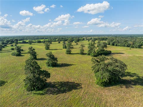 Tiny photo for 4845 County Road 119, Caldwell, TX 77836 (MLS # 26009328)