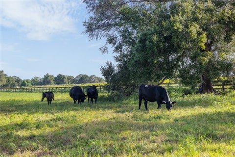 Tiny photo for 4845 County Road 119, Caldwell, TX 77836 (MLS # 26009328)