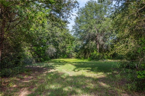 Tiny photo for 4845 County Road 119, Caldwell, TX 77836 (MLS # 26009328)