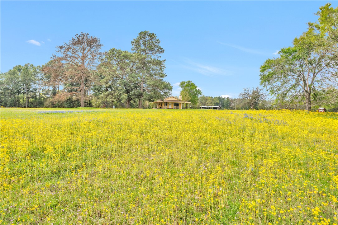 15487 County Road 228