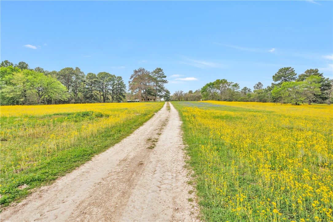 15487 County Road 228