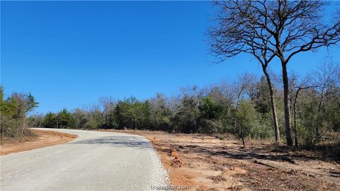 Tiny photo for 12 High Meadow Trail, Franklin, TX 77856 (MLS # 26001920)
