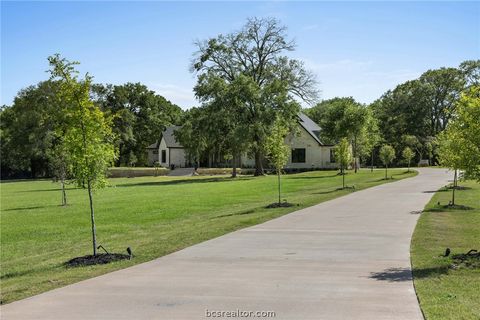 Tiny photo for 10121 St John Drive, Iola, TX 77861 (MLS # 26003087)