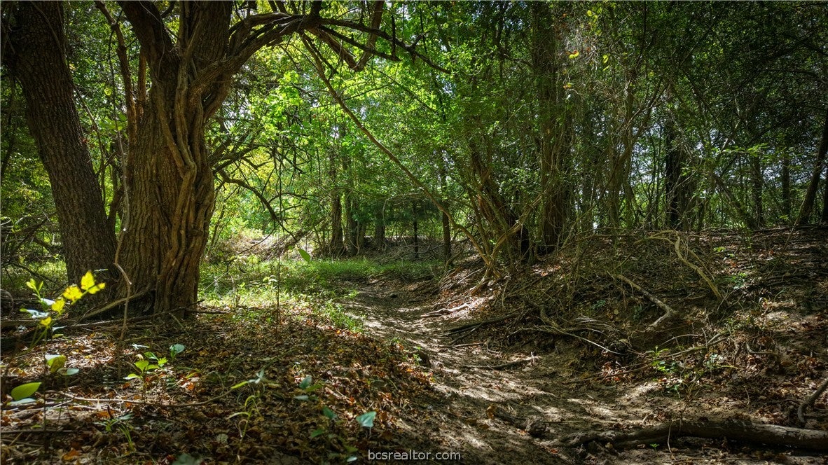 Tract 4 Mensik Rd.