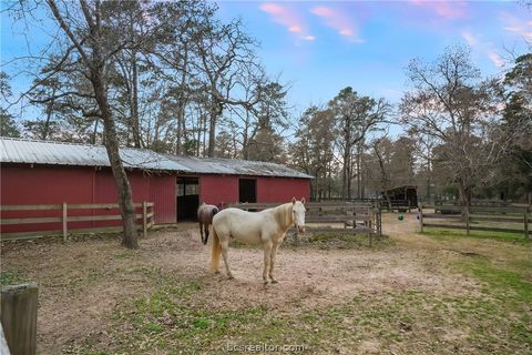 Tiny photo for 26000 Pine Shadows Drive, Hockley, TX 77447 (MLS # 26003061)
