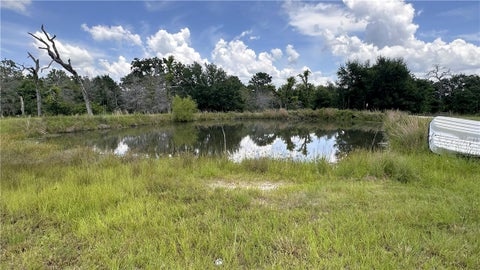 Tiny photo for 3107 Bob Mathews Street, Bedias, TX 77831 (MLS # 26006766)