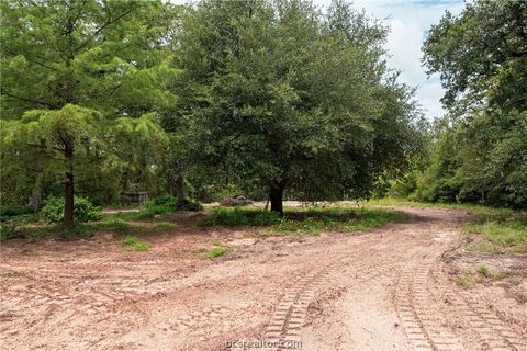 Tiny photo for 5 County Rd 342, Milano, TX 76556 (MLS # 26002568)