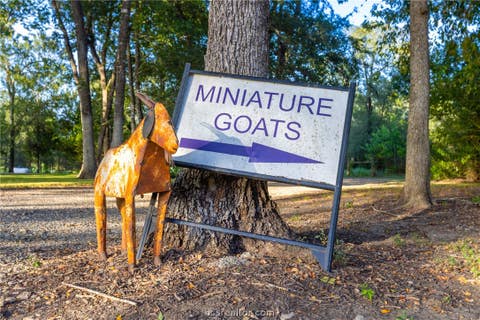 Tiny photo for 2250 Dillard Road, Brenham, TX 77833 (MLS # 26010552)