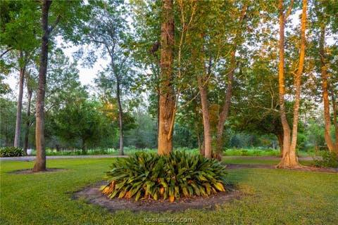 Tiny photo for 2250 Dillard Road, Brenham, TX 77833 (MLS # 26010552)