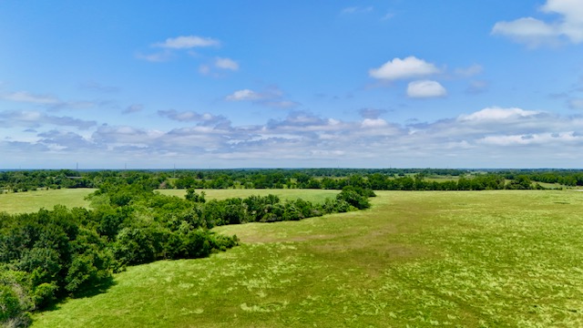 TBD Morehead Road (+/-113.6 acres)