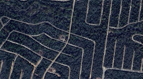 Lot 1 Holly Springs Drive Hilltop Lakes TX 77871