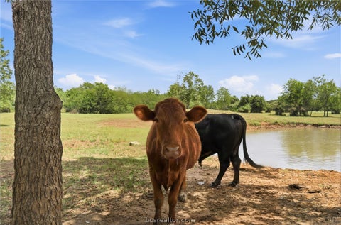 Tiny photo for 9753 River Ridge Drive, Hearne, TX 77859 (MLS # 26011366)