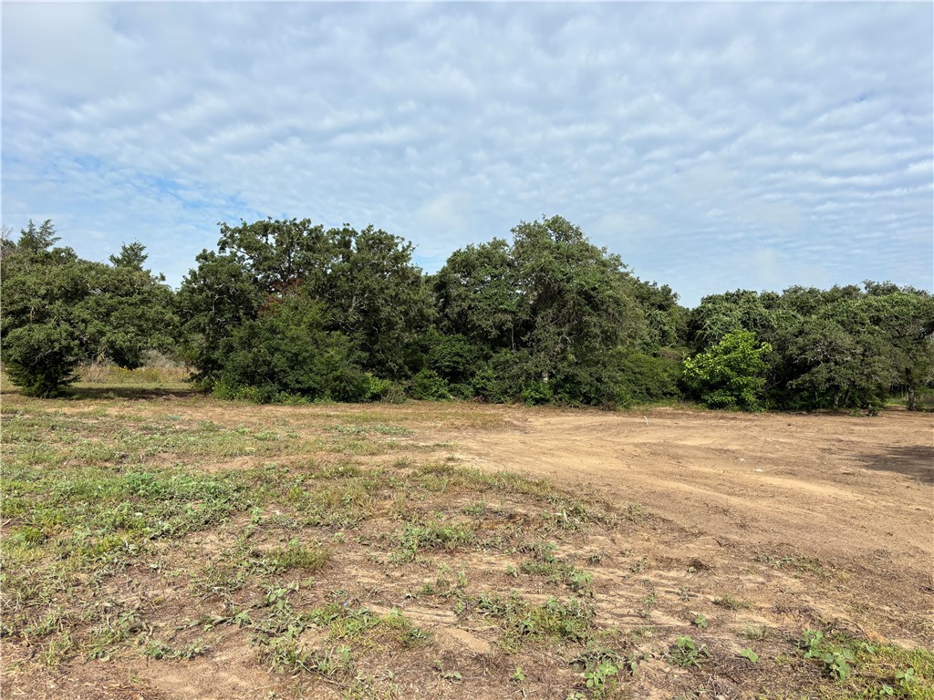 385 DOGWOOD Drive