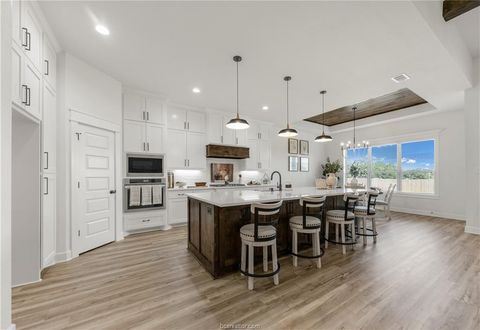 Tiny photo for 15174 Ty Marshall Court Ct, College Station, TX 77845 (MLS # 26003755)