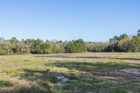 Tiny photo for 6254 County Road 180, Anderson, TX 77830 (MLS # 26003496)