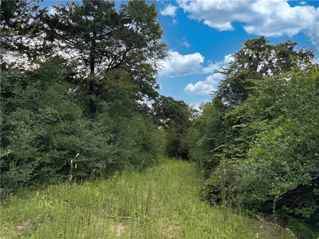 TBD E Old Hickory Grove Road CO NE CountyRoad NE