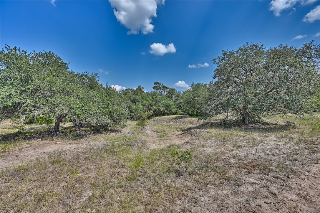 TBD(+/-237.91 AC) HWY 36 S