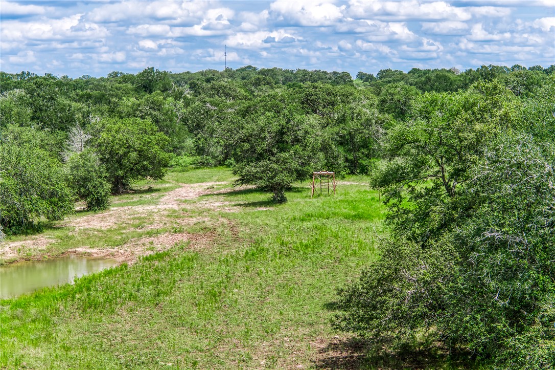 TBD(+/-237.91 AC) HWY 36 S