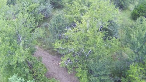 Tiny photo for 99999 Fm 1696, Iola, TX 77861 (MLS # 25008267)