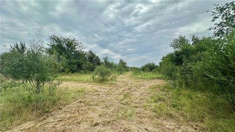 Tiny photo for 99999 Fm 1696, Iola, TX 77861 (MLS # 25008267)