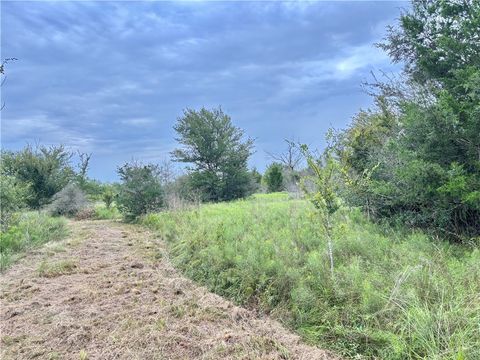 Tiny photo for 99999 Fm 1696, Iola, TX 77861 (MLS # 25008267)