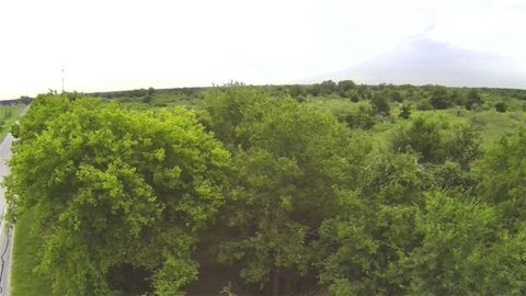Tiny photo for 99999 Fm 1696, Iola, TX 77861 (MLS # 25008267)