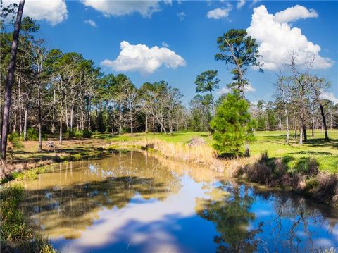 9191 Amelia Drive Anderson TX 77830