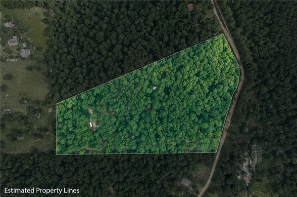 5772 PR-2065, CENTERVILLE, TX 75833 - Image 5c8176fcabbfbf9b4d5bc67741290ea6/1553836930