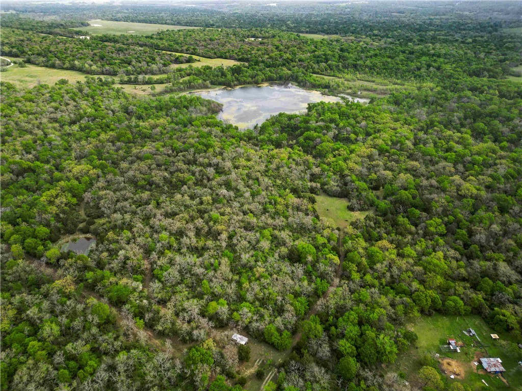 10086 James Cemetery Road